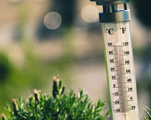 10 Tips To Stay Cool In The Summer Heat