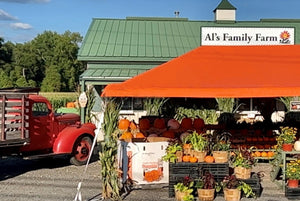 outdoor sign ideas