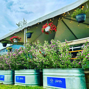 anniversary party ideas 