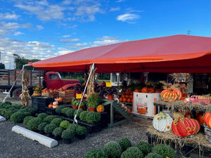 orange tent
