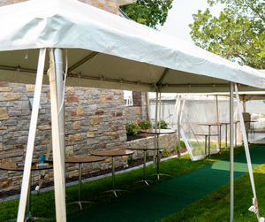10x30 party tent in backyard
